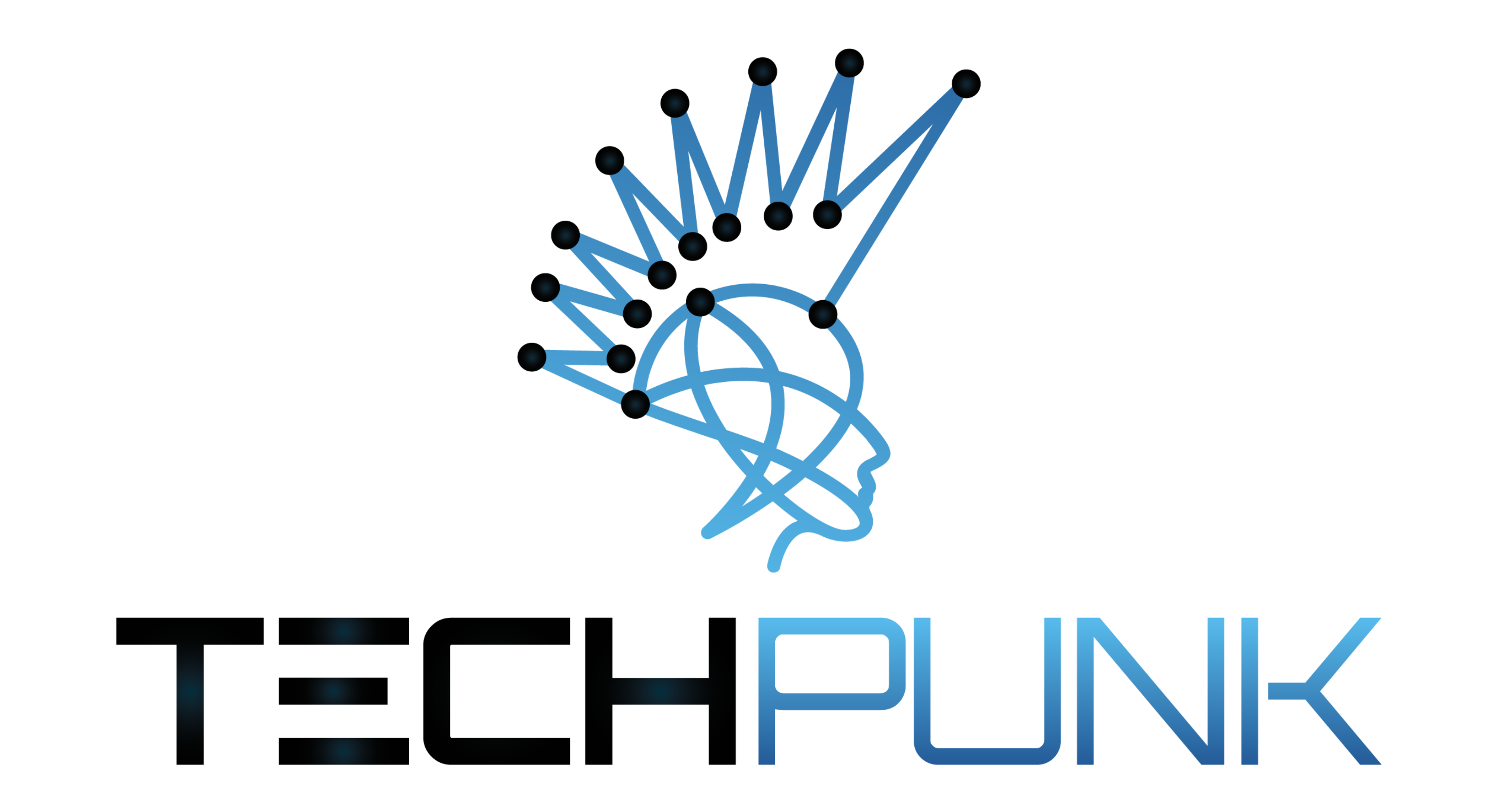 Tech Punk IT-Recruitment